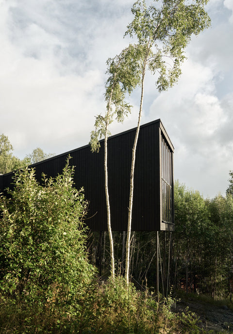 Flying Treehouse - trädhuset som lyfter drömmar till nya höjder