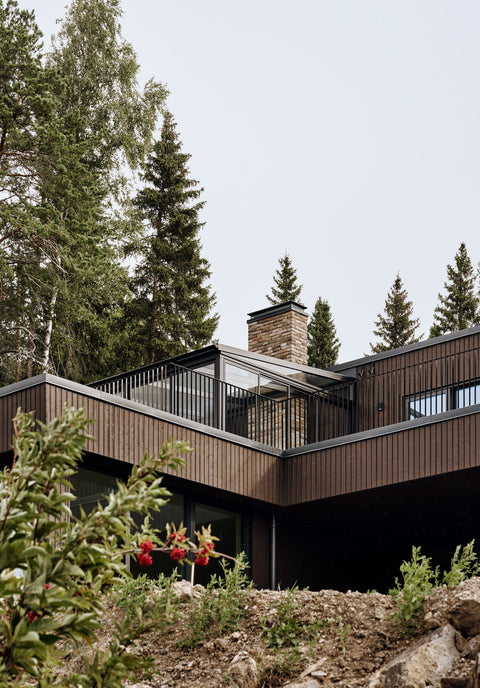 Villa Nejlikan