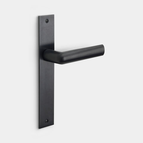Door handle INC PBI102 on long backplate – PVD Matt Black
