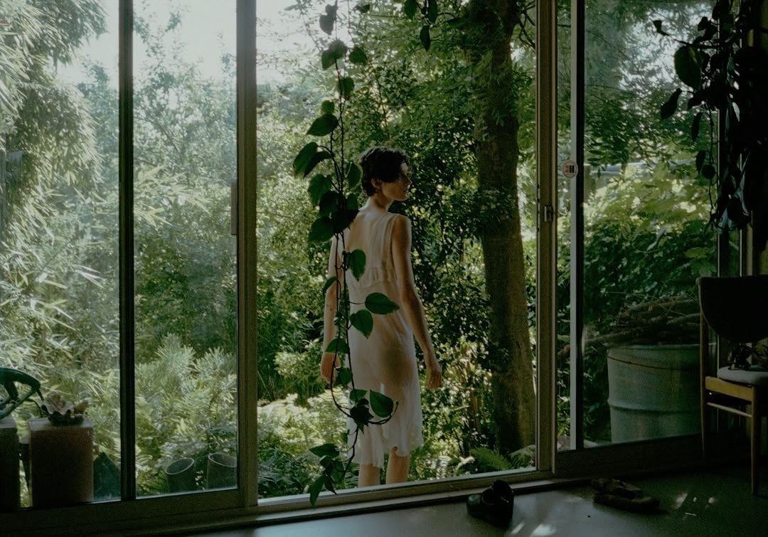 A person standing by a tall window, looking out at greenery